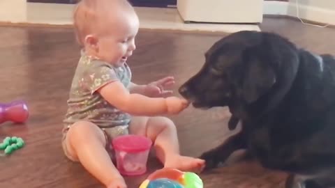 Funny babies playing with dogs - Cute dogs & baby videos compilation