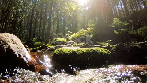 Small cascading creek