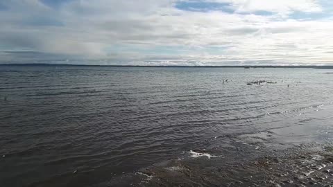 Beautiful lake gull lake Alberta