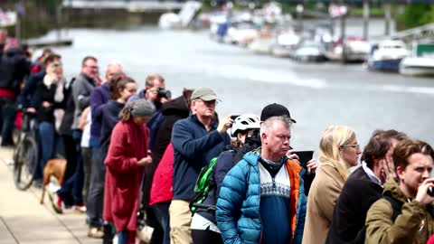 There's a hurt, lost whale calf in London's river