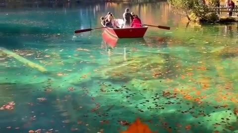 Amazing Clear Water Happy Good Vibes