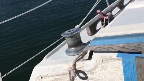 Trying to dock under sail