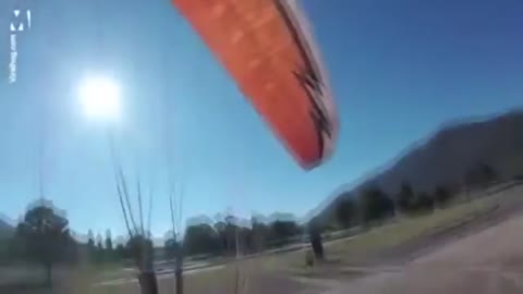 Australian man gets kicked by kangaroo while parachuting