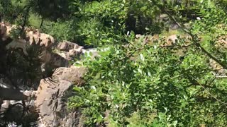 2018.07.16 River Near Many Glacier Glacier National Park