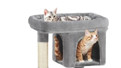 Meow Mansion: 10 Best Cat Trees for Your Feline Friend #cattree #FelineFurniture #catcondo