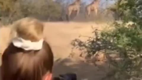 Woman shoots & kills a giraffe in Africa for fun then SMILES back at the Video camera