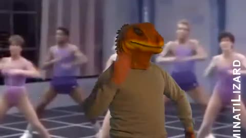 Illuminati Lizard - Excercise