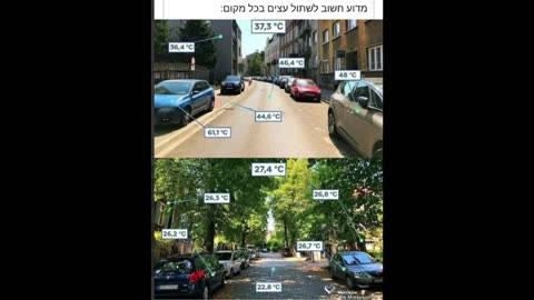 ביל גייטס אני לא שותל עצים מי שחושב שעצים יפתרו את בעיית האקלים הוא אדיוט