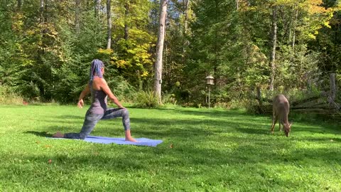 Outdoor Quiet Yoga And Deer- Allow Space For Silence 🌍❤️ 20min