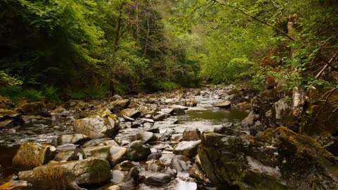 River Scenes for Sleep, Meditation and Yoga