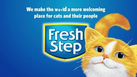 Premium Clumping Cat Litter You Are Seeking For