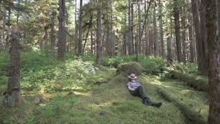 Glacier Bay's Moss - What's a Boundary Layer - Glacier Bay National Park & Preserve