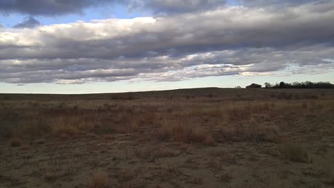 Bryce Boy Launching the Mammoth Estes Rocket - First Launch, 3/11/17