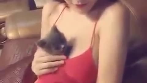 Cat 🐈 and sexy girl funny cilp video