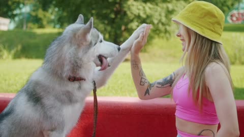 A Woman Training Her Dog at the Park