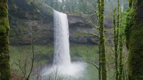 Water Falling Beauty