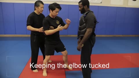 Wing Chun - Explosive Power - Kevin Lee and Sifu Francis Wong