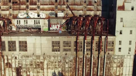 Dogs Parks In Old Jake Building Throw Town