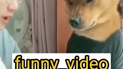 Angry dog with a boy || hindi funny dubbing || comedy #funnyvideo #comedy #shorts #trending