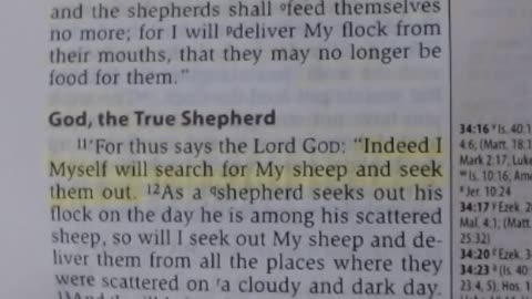 Jesus the Good Shepherd (John 10:1-21 NKJV) - 6-28-2021