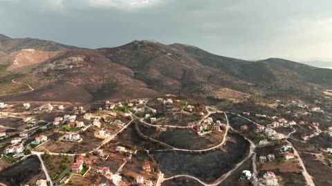 A fight over replanting Greece's burned forests