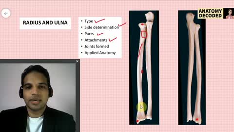 Upper Limb Bones Revision_| Osteology of Upper Limb | Anatomy Decoded | Anatomy Lectures