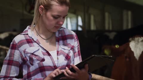 Beautiful girl writes information about cows on the tablet