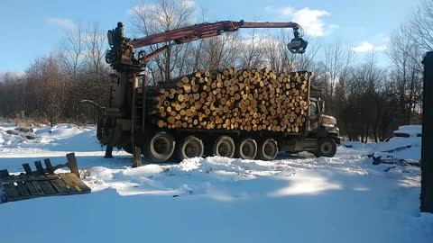 log load fire wood