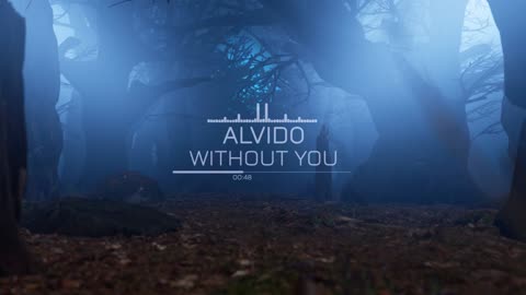 ALVIDO - Without You