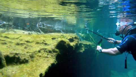 Scuba diver has face-to-face encounter with crocodile