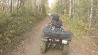 Yamaha Grizzly, SE, EPS, 2021