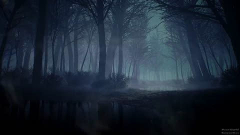 Dark Forest Ambience, Soundscape, Background Sounds, Crows, Owls instrumental