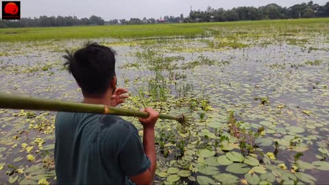 Best Boat Fishing Video 🐠 Unbelievable Bamboo Crossbow Fishing Technique Boat 2021