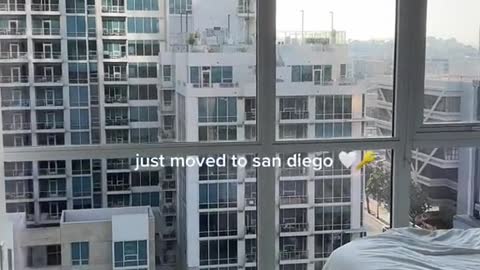 just moved to san diego