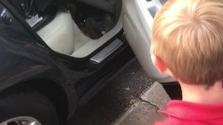 Little Boys Gets a Puppy