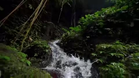 Waterfall-Slow motion tracking shot of a small woodland waterfall