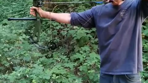 Arrow ambush #shorts #archery #outside #targetpractice #hunting