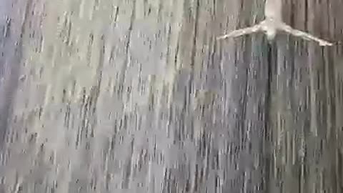 the Dubai Mall Waterfalls