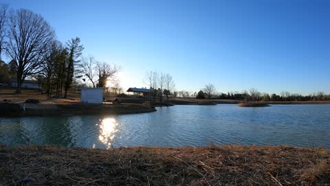 Timelapse by the pond