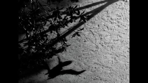 Max Richter - On the Nature of Daylight