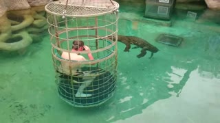 white man with crocodile in water