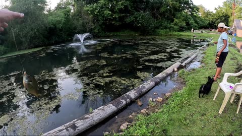 Moyer Lake Bluegill Fishing