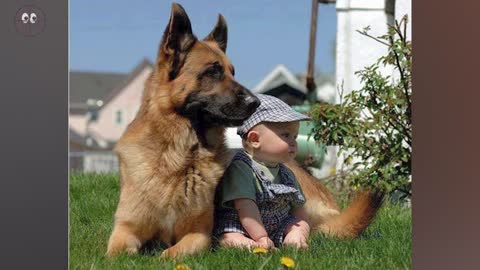 Parents leave their baby with the dog and when they come back look what happens