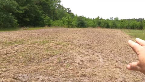 Planting AU Grazer seeds, and worming the goats