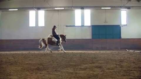 Slow Motion Riding Horse Across Riding Hall