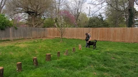 Splitting wood quick!! Line 'em up!