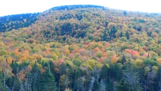 Peak Foliage