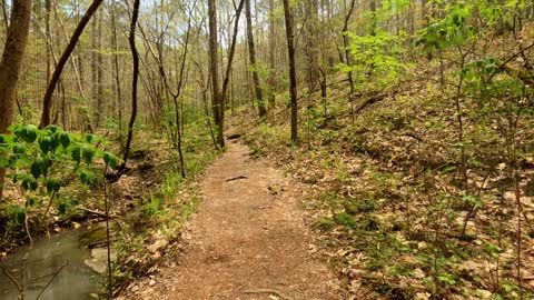 Hiking the William B Umstead North Harrison Avenue Cary NC Park PART 2