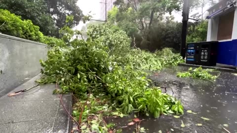 Typhoon Bebinca hits Shanghai, toppling trees and forcing evacuations