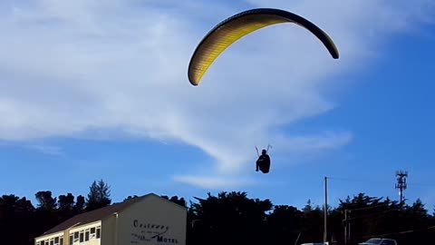 Look what I saw at the beach 1/28/24: